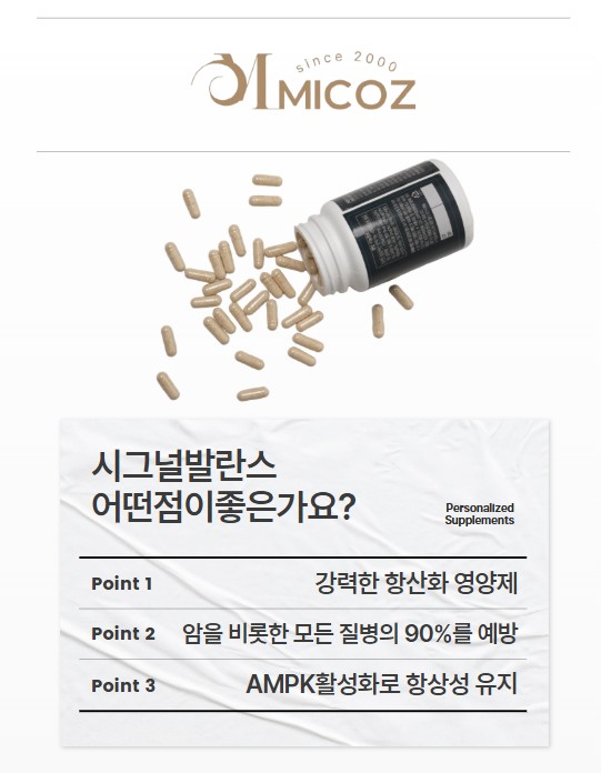 KakaoTalk_20250820_174303026_01.jpg