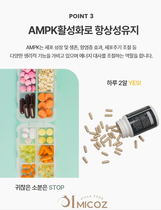 KakaoTalk_20250820_174303026_04.jpg