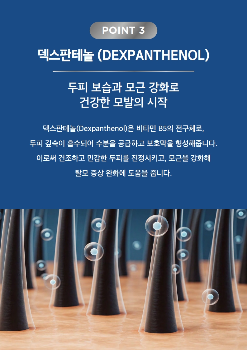 TalkFile_(한글) 리피다 샴푸,컨디셔너_A4_1.pdf_6.jpg