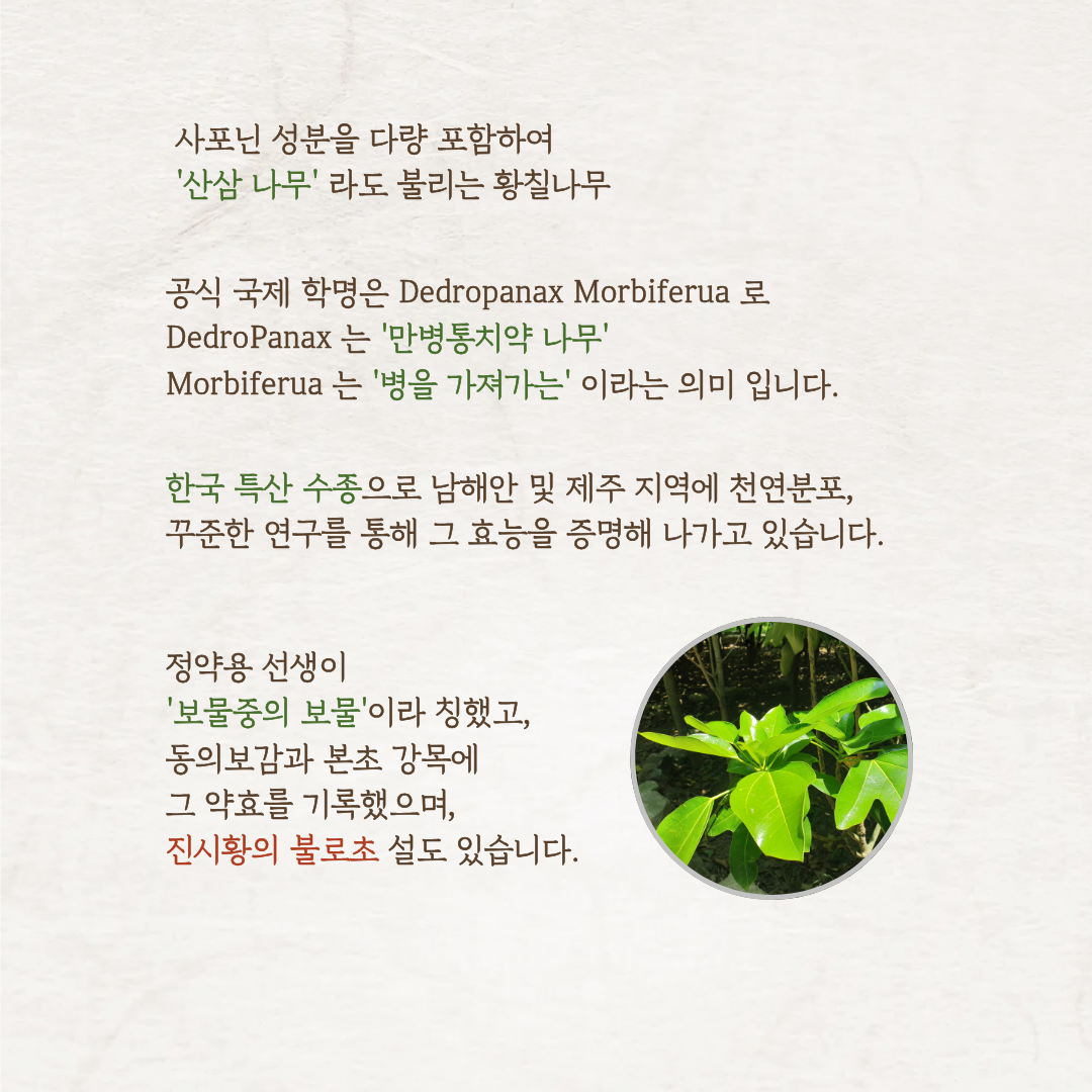a8e829d0ff5c27ab283a3337a009bc72_1792587828_2101.png