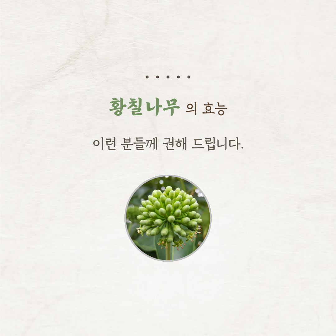 a8e829d0ff5c27ab283a3337a009bc72_1792587828_4136.png